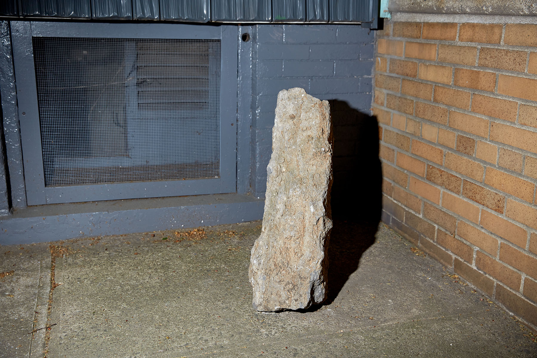 Rock_Out_Front_35A2342