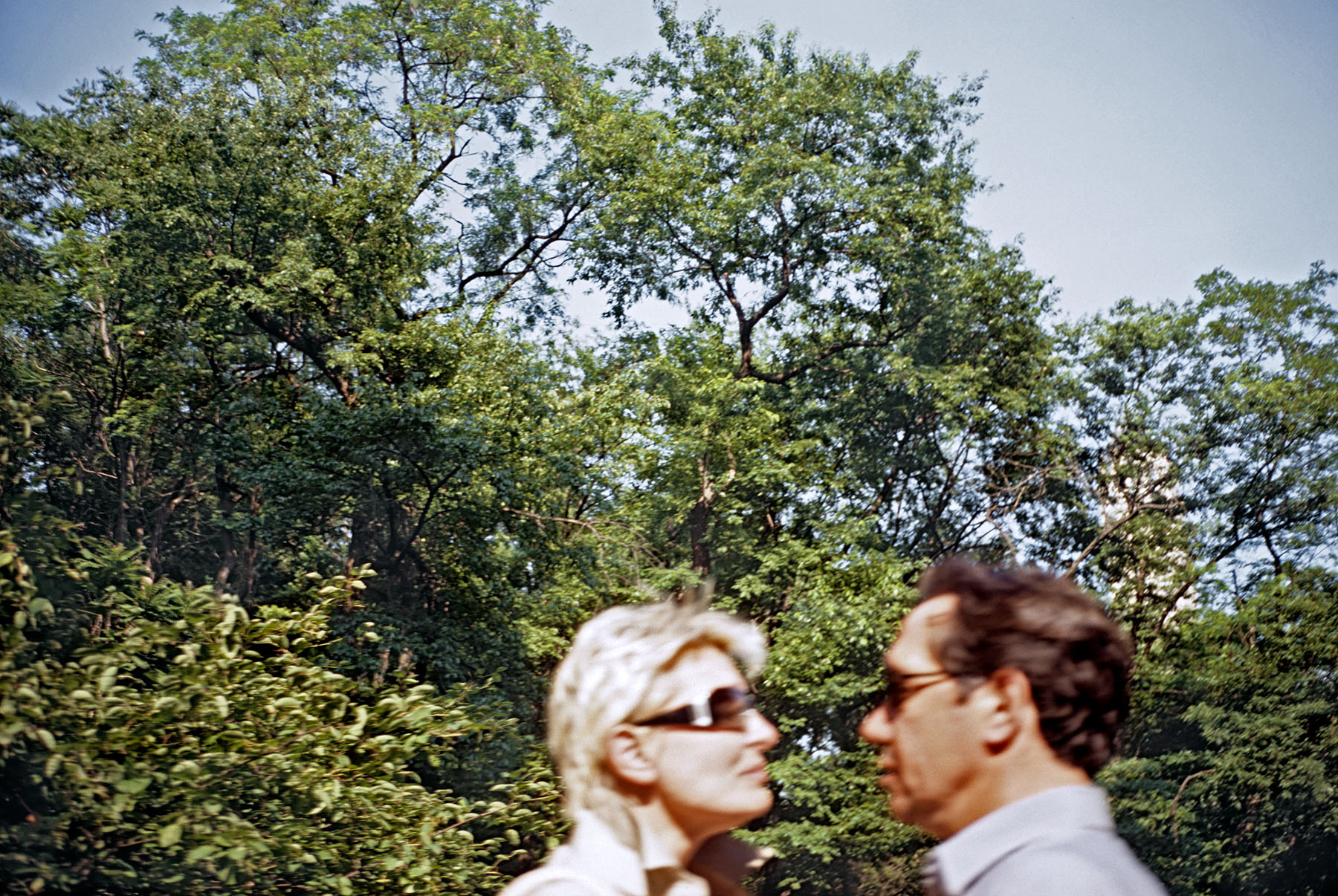central park blurry couple_55mgs
